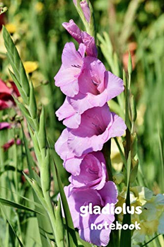 gladiolus: Flower Travel Motivational Notebook, Journal, Score book, Exercise Book, Motivational Booklet, Draftsmanship, Memorials,Album, Logbook, Diary (110 Pages, blank, 6 x 9)