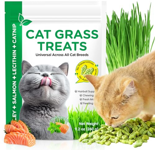 260g Katzengras Snack– Gefriergetrocknete Katzengras Sticks mit Katzenminze – Katzengras fertig gewachsen als Beißstäbe für die Zahnpflege und Unterstützung bei Haarknäueln – Natürliche Katzen Lecker