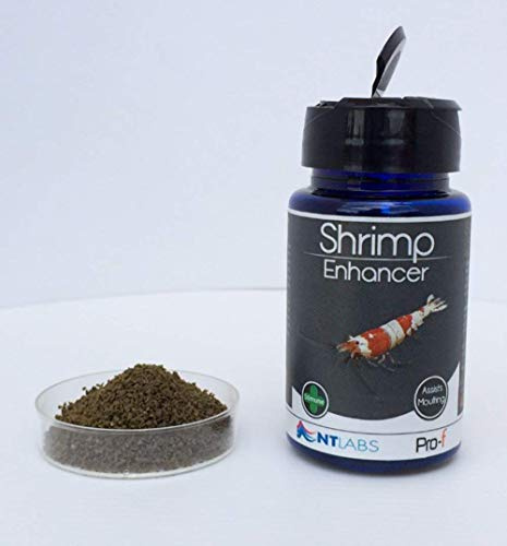 2 x Shrimp Enhancer 40g Shrimp Food Aquarium