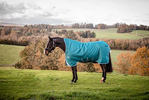 Horseware Amigo Bravo Turnout 12 Wug lite Storm Green Größe wählbar (140)