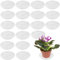 MUKLEI 20 Packs 25 cm Clear Plant Saucers, Plastic Plant Drip Trays, Plant Saucers Flower Pot Drip Trays for Indoor Outdoor Plants