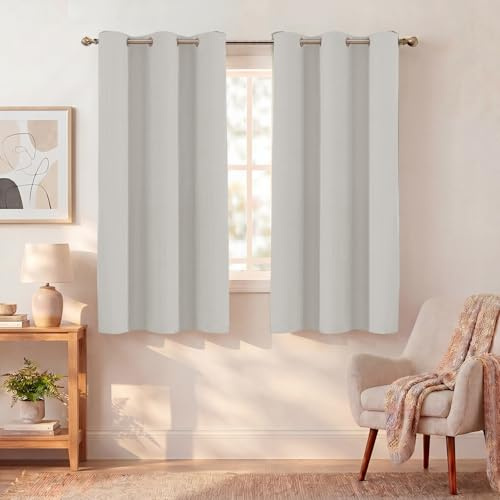 BellaHills Tende Oscuranti per Interni Isolanti Termiche con Anelli Tenda Finestra per Camera da Letto e Soggiorno Tende per Salotto Moderne, 2 Pezzi 117L x 137A cm, Pietra Pomice
