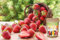 300pcs Heirloom Fresa Semillas de Frutas para la siembra al aire libre de interior