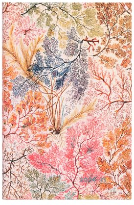 Paperblanks Agende 18 Mesi 2025, Anemone, Maxi, Verticale, Chiusura con Fascia Elastica