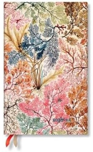 Paperblanks Agende 18 Mesi 2023-2024 Anemone | Verticale | Maxi (135 × 210 mm)