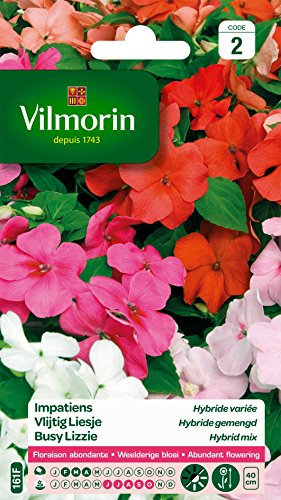 Vilmorin 5320142 Impatiens hybride variée Multicolore 9 x 0.5 x 16 cm
