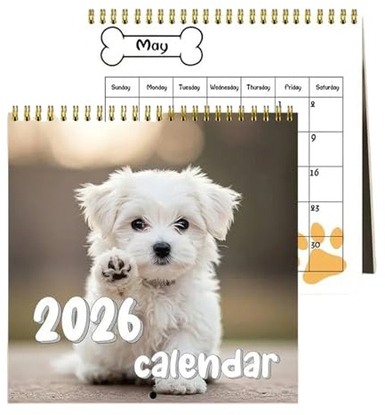 Calendrier mural 2026 amusant - Calendrier mural mensuel - Grande grille - Planificateur ménager - Préparation des vacances, des routines de fitness, planification d'activités familiales et