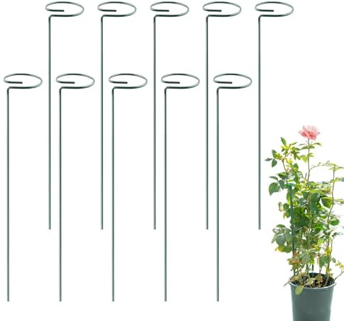 Anello di supporto per piante - Asta con stelo singolo, di fissaggio in metallo | Struttura in ferro verde 6x6x50cm Set di punte stabili riutilizzabili per giardinaggio all'aperto indoor Fiori