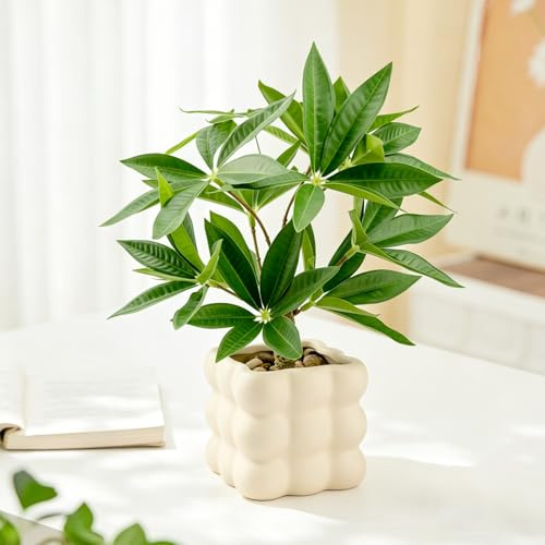 WOHSEROM Small Money Tree Bonsai 10 inch Artificial Desk Plant in White Ceramic Pot, Realistic Indoor Faux Potted Pachira Money Plant for Home Office Living Room Decor(Maintenance Free)