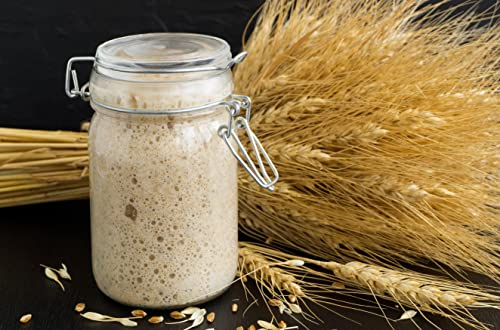Kombuchaorganic ® Certified Organic Live Sourdough Starter - Very Old and Mature - 45 year old Lake District Starter, Bread Starter - 80g supplied for all types of flour with printed instruction
