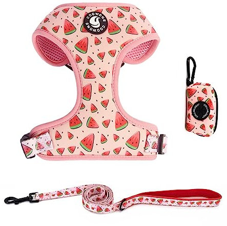 Arnés y Correa para Perros, Soporte para Bolsa de Heces 3 Sets, Chaleco Ajustable sin Tirones Fácil de Caminar para Cachorros y Gatos con Malla Suave Acolchada, Artículos para Mascotas para Perros