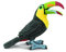 Safari S264129 Wings of The World Tukan ohne Beere Miniatur