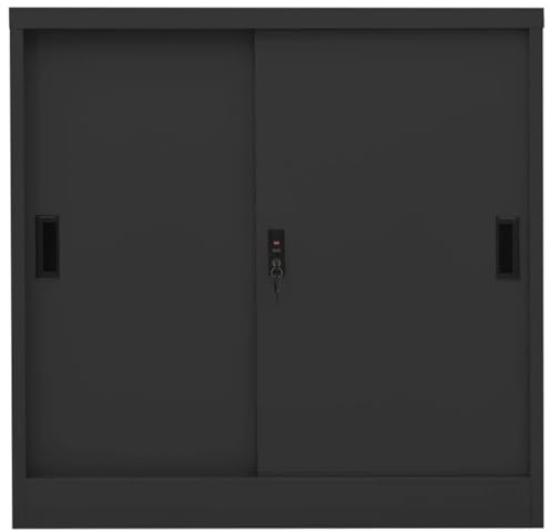Brokky Taquillas Metalico Armario Archivador Metálico de Oficina con Puerta corredera Estantes Ajustables Armario de Oficina con Llaves-Antracita-Tipo 1