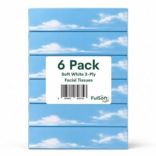 Facial Tissues Boxes, 6 Pack (100 Tissues per Box, 600 Total) | Soft 2 Ply, Hygienic Seal, Virgin Wood Pulp, For Home, Car, Office & Everyday Use