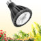 DSLebeen 18W LED Vollspektrum Pflanzenlampe E27, 5800K LED Grow Lampe mit Hohe PPFD, Tageslichtlampe für Gewächshaus, Blüte, Blumen und Gemüse (Φ9.4 * 12cm, PPF 46,8 μmol/s)