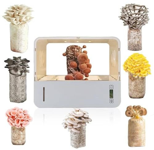 Kit de culture de champignons multifonctionnel, boîte à air de culture de mycologie de champignons,stations de propagation de culture de champignons avec contrôle tactile,température et humidification