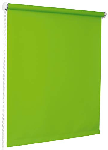ROLLMAXXX Standard-Rollo Lichtdurchlässig Seitenzug Kettenzugrollo Tageslicht Sichtschutz (180 x 190 cm, Grün)