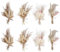 SUNOYA Bouquet Fiori Secchi Mini - 8 Decorativi per Casa, Studio, Cucina, Ufficio, Soggiorno, Camera