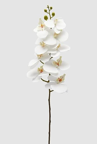 EDG Enzo De Gasperi Orchidea Phalaenopsis Ramo Artificiale H 94 Cm White