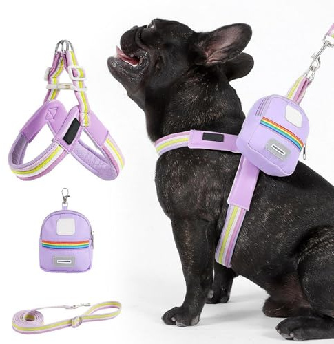 Hundsele med koppel, justerbart husdjur bröstsele hundbälte – ergonomisk sits säkerhet med ficka för träning promenader aktiviteter
