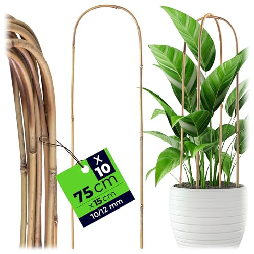 KADAX U-formade bambustavar 75 cm x 10/12 mm x 15 cm, set om 10, klättringbåge av bambu, stabilt växtstöd i bågform, växtstavar för klätterväxter, växtstöd