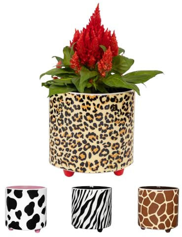 Fisura – Vaso originale con motivo leopardo. Vaso decorativo da interno con piedini, perfetto per cactus, fiori e piante grasse. Ceramica stampata 13 x 12,5 cm.