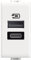 Bticino AM4191AC Caricatore USB con due ingressi di tipo A e C, da installare nella placca Matix, per ricaricare un dispositivo elettronico fino a 15W o due dispositivi in simultanea, 1 posto, bianco