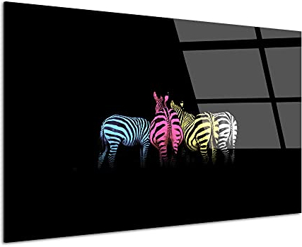 DECLINA Tableau verre acrylique design deco murale Zèbre, Tableau Plexis, décoration murale plexi, tableau verre acrylique, 120x80 cm