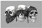 Spaß Kostet Badematte Duschmatte mit Totenköpfen Badvorleger Skulls