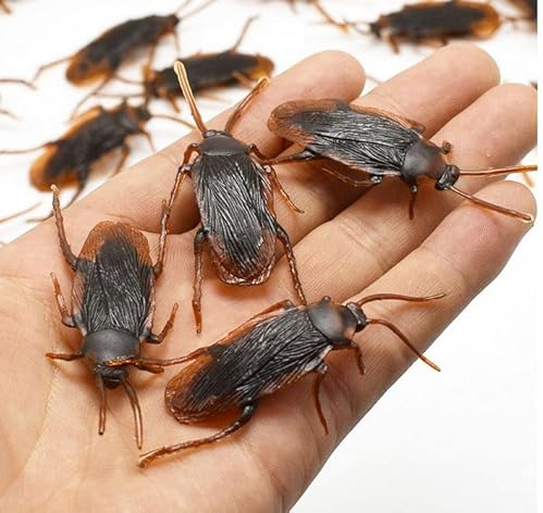 20 x Fake Kakerlake Plastik täuschend echt Deko Geocaching Dosen Zubehör Grusel