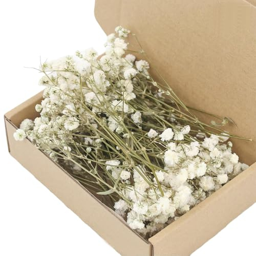 GNALIA Set Di1 Scatola Di Fiori Di Gipsofili Artificiali Realistici Al Tatto Per Feste Di Matrimonio, Ghirlanda Floreale Decorazione Per La Casa