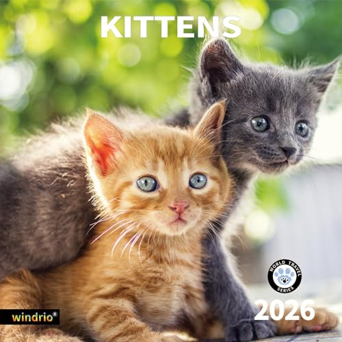 2026 Wall Calendar,Calendar 2026, November 2025 - December 2026, Wall Calendar Kittens, 12 x 24 Opened,Full Page Months Thick & Sturdy Paper for Gift Perfect Calendar Organizing & Planning
