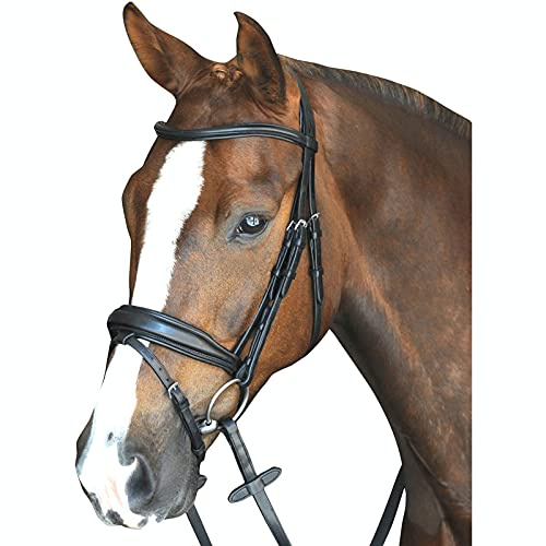 Collegiate Mono Crown Padded Raised Flash Bridle, Black, Warmblood