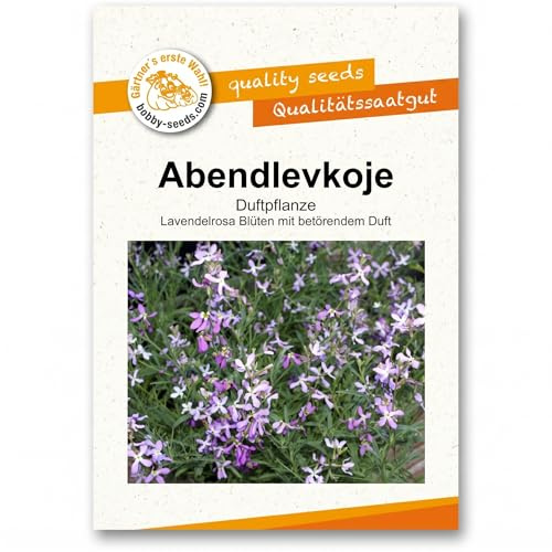 Bobby-Seeds Abendlevkoje Blumensamen, Duftblumen Saatgut für ca. 300 Pflanzen, Matthiola bicornis, lavendelrosa Blüten, stark duftend, für Balkon & Garten