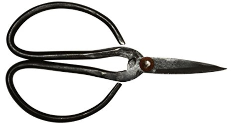IB Laursen – Ciseaux Sécateur Ciseaux à herbes Ciseaux de cuisine... petit (1517–00)