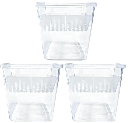 Genérico Cestas Hidropónicas,3 Piezas Macetas Transparentes de Propagación para Jardinería - Tiestos de Vivero de 10 cm con Agujeros de Drenaje - Balcón Jardín Cocina Salón Ventana Interior Exterior