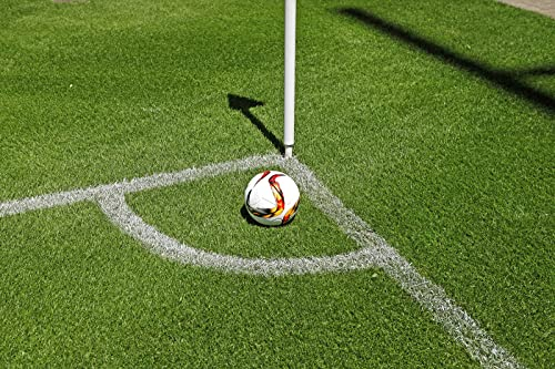 Kiepenkerl RSM 3.2 Profi Sportrasen Regeneration ohne Poa pratensis 10 kg, Rasensamen, Rasensaat