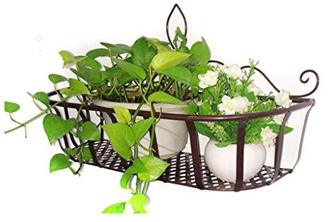 Vasi e accessori per piante Portafiori da muro in ferro battuto Supporto da giardino per recinzione da giardinaggio Espositore per piante in vaso da esterno vasi da fiori da parete per soggiorno Scaff