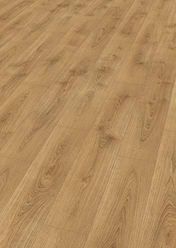 EGGER Home Laminatboden Aqua+ EHL103 Brook Eiche honig (8mm, 1,995m²) | authentische Holzoptik | | Einfache Verlegung durch CLIC It! System | Wasserresistent & feuchtraumgeeignet