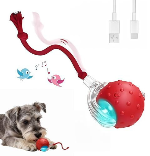 IGZNB Teddyloo Palla Interattiva,Palla Giocattolo Interattiva Per Gatti E Cani,Elettrica Con Suono Di Uccello,Tre Modalità E Ricarica USB,Compatto E Portatile (Rosso)