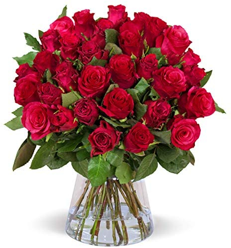 Blume Ideal Rosenstrauß - 30 Rosen - Rot - Ø 40–50 cm - Echte premium Blumen für Hochzeit & Deko - 7 Tage Frischegarantie - in verschiedenen Farben und Mengen