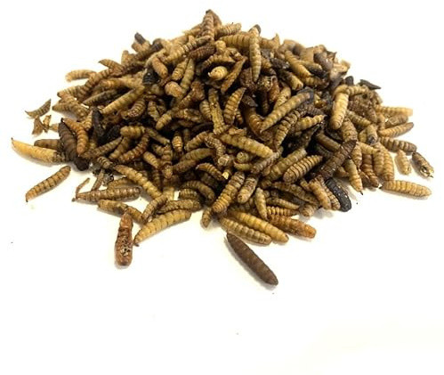 Dried Calciworms 100g Premium Wild Bird & Hedgehog Food MCW