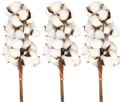 duoyif Ramas De Algodón Secos 30 Piezas 30cm Ramo Flores De Algodón Artificiales, Ramas De Algodón Falsas, Plantas Flores Artificiales Para Decoración Jarrones Hogar Bodas Oficinas Balcones (a blanco)