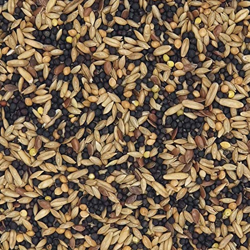 Versele Kanarien VR Prestige 20kg