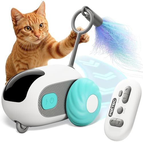 PETTEC® RC Car giocattolo interattivo per gatti auto telecomandata [SMART TOY] – Giocattolo intelligente per gatti elettrico con prevenzione automatica degli ostacoli – giocattolo auto-occupazione per