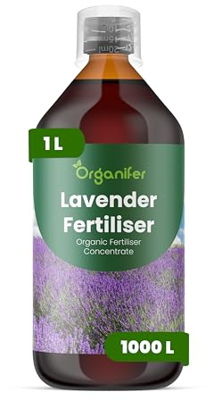 Organiskt flytande gödsel 1L för Lavendel – frodiga blad och hälsosam blomning - Organifer