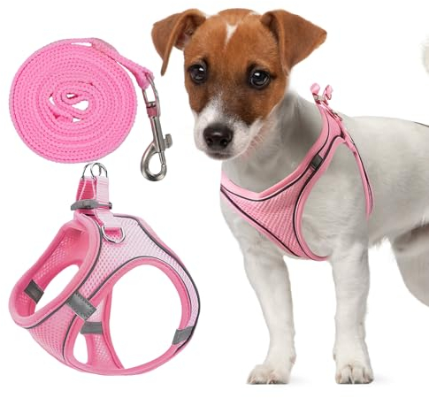 Verstellbares Katzengeschirr, Air-Mesh Atmungsaktiv Brustgeschirr mit1,5m Leine, Weich Gepolstert Hunde Geschirr, Katzenleine Kitten mit Reflektierenden Streifen, Katzen Weste (Rosa, 3XS)