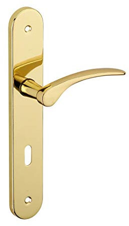 THIRARD - Ensemble de Poignées pour Porte de Chambre Dionysos - Acier Embouti - Design Élégant - Trou de Clé - Entr'Axes 195 mm - Carré 7 mm - Finition Laiton - Jaune/Doré