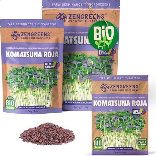 ZenGreens® - EKO Röd komatsuna Frön - Välj mellan 10, 200g och 500g - Röd komatsuna Frön med en grobarhet på över 97 procent - Groddar av Röd komatsuna Frön - Microgreens