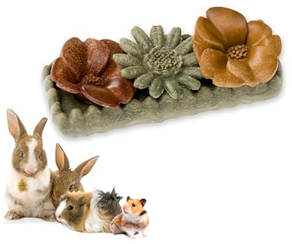 Ferplast Natural Snack for Rodents, Hamsters, Guinea Pigs and Rabbits, Promotes Dental Hygiene, Stimulates Play and Offers Taste and Well-Being, Flower-Shaped